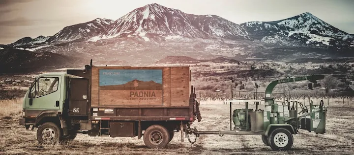 Paonia Tree Services
