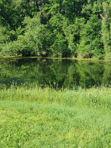 Cortright Wildlife Area