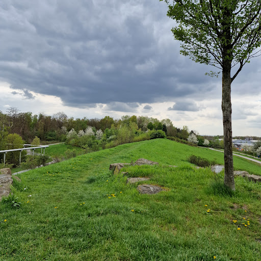 Halde General Blumenthal I/II/VI