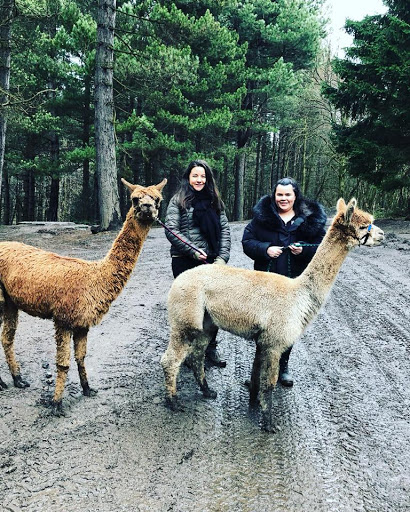 Posey Pacas Alpacas Gallery - United Kingdom