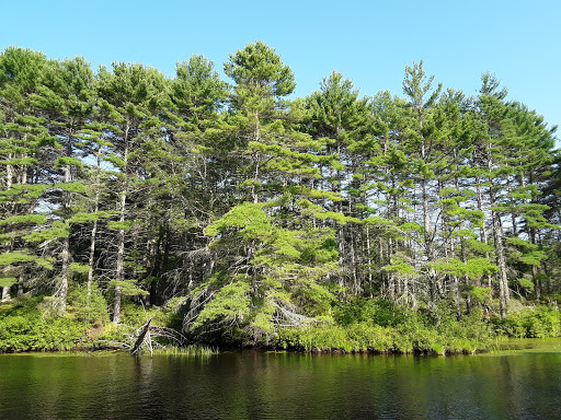 DCR Quabbin Gate 40 - Thumbnail
