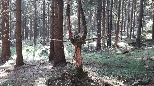 Wichtelpfad - Visual