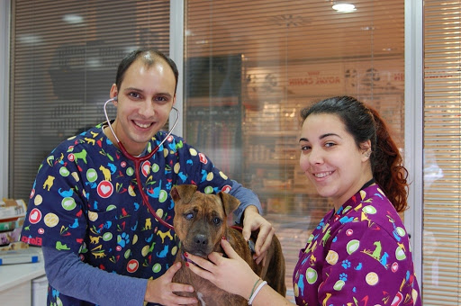 VetClinics Calpe