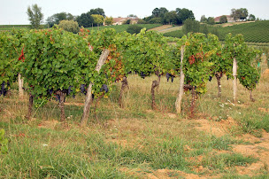 Photo n°4 de Mairie à Les Esseintes (Hôtel de ville)