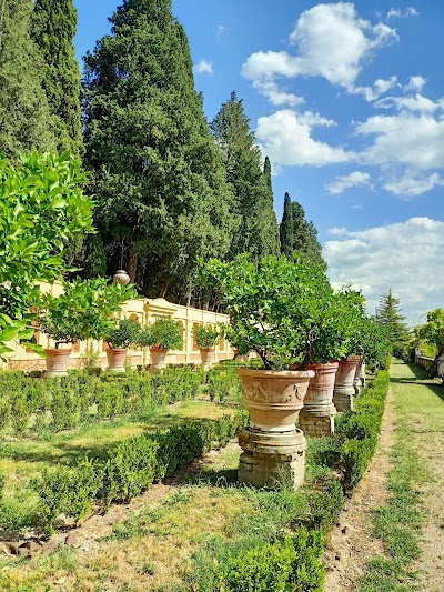 Villa Fidelia