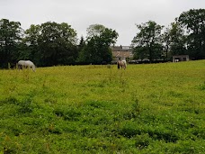 Linn Park glasgow