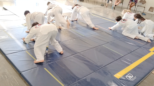InNae Academy of Martial Arts LLC - Thumbnail
