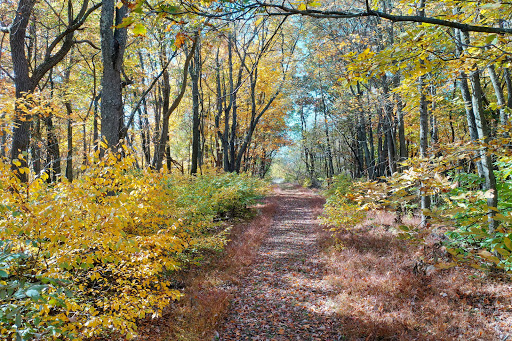 Eidolon Nature Preserve Gallery - United States