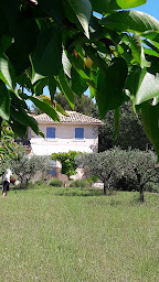 Photo n°54 de Le bastidon saint andré à Lourmarin (Gîte)
