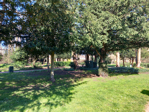 Cedars Park Cafe - Visual