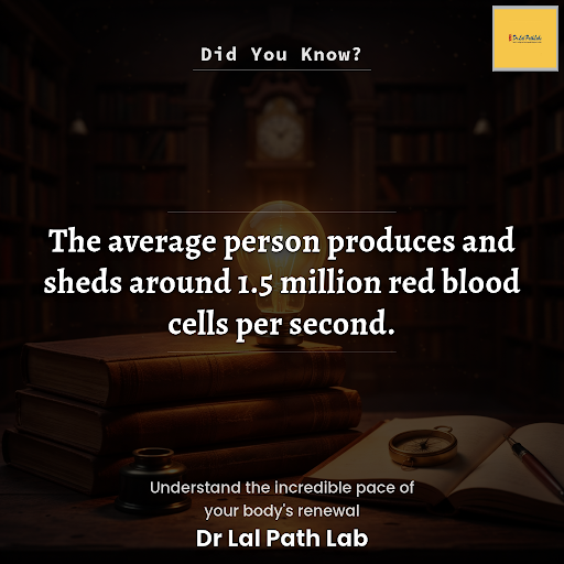 Did You Know ? post image