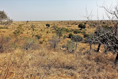 Photos of Mlondozi Picnic Site