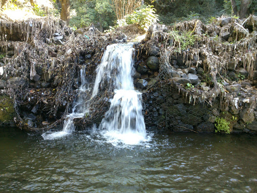 Río Suchitlán - Visual