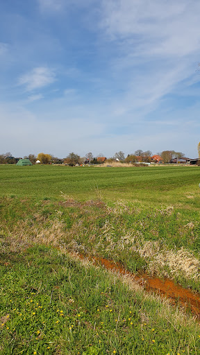 Storchennest 1 Rönne