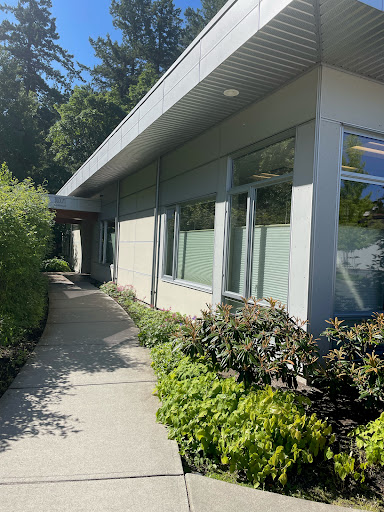 Bloom Montessori - Thumbnail