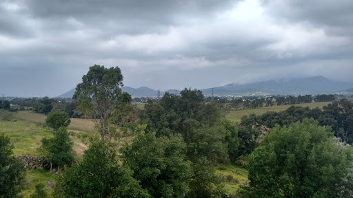 Rancho Paraiso (Trex Stadium) - Thumbnail