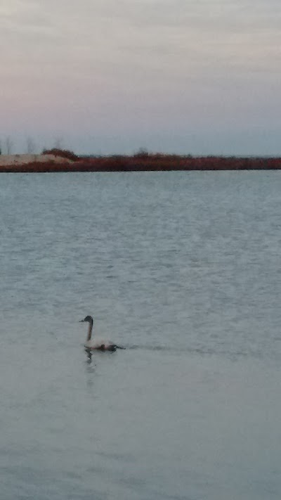 Harrisville Boat Launch