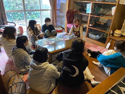 保護猫カフェ 笑猫