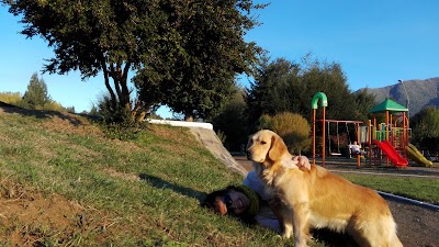 Photos of Plaza de Ralco Commune Alto Biobio
