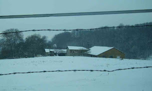 Photo n°10 de C.E.R.E.S Conduites d'Elevage Raisonnées pour l'Entretien desSites à Cour-et-Buis (Coach particulier)