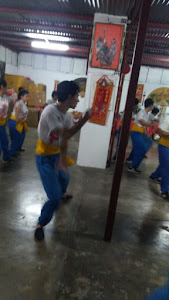 Sociedad de Danza de Leon Chung Shan 0