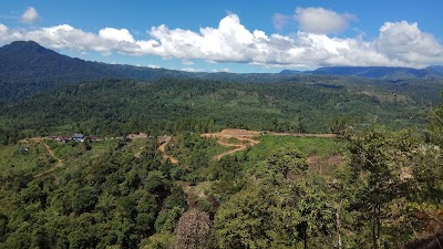 Photos of D'Ground Puncak Coffe