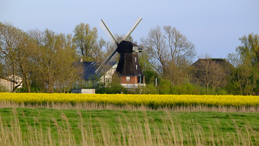 Windmühle Catharina