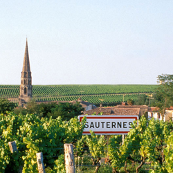 Photo n°1 de GIRONDE EMPLOI AGRICOLE SAUTERNES à Langon (Agence d'intérim)