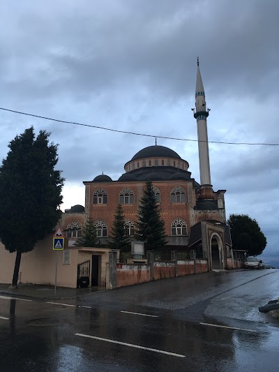 Z. Kotku Cami