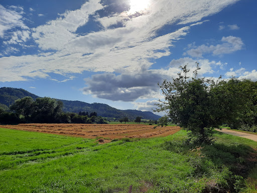 Obstlehrpfad