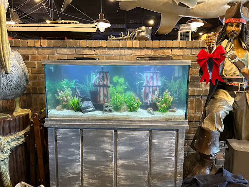 Wright Aquarium Services - Visual
