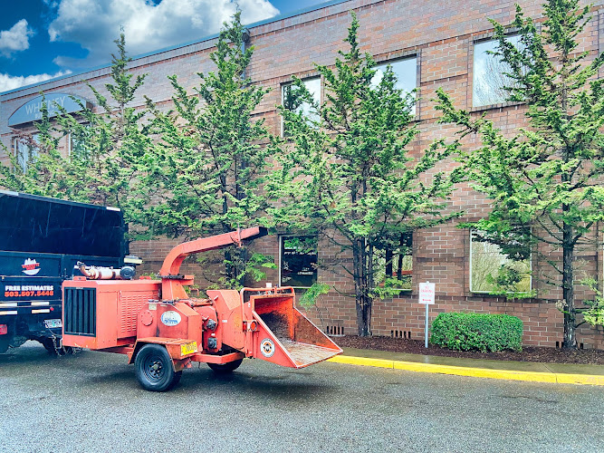 Willamette Valley Tree & Stump Removal, LLC