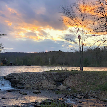 Catalpa Grove at Lakewood Park by null