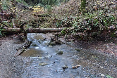 Peabody Creek Trail