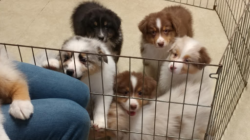 Wyoming Animal Hospital - Thumbnail