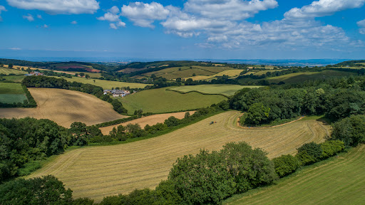 Knight Frank Exeter Estate Agents - Thumbnail