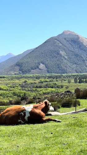 Glenorchy Animal Experience - Museum