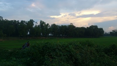 Photos of Dibar Dighi,Naogaon