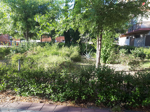 Roncali Park - Visual