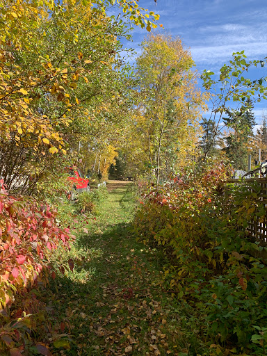 Whitegull Trails Gallery - Canada