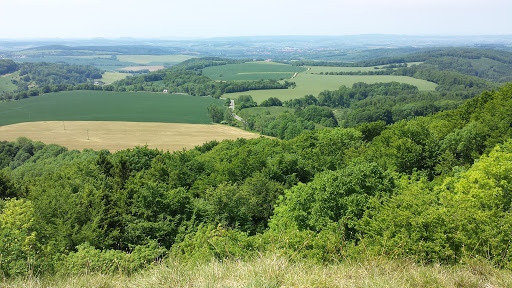 Sonnenstein - Visual