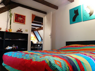 Photo n°4 de Charmant duplex sous les toits de Strasbourg à Strasbourg (Location d'appartement de vacances)