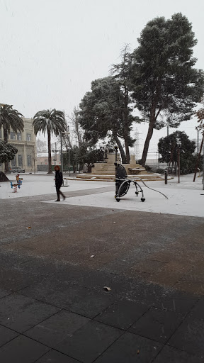 Paseo Chapí