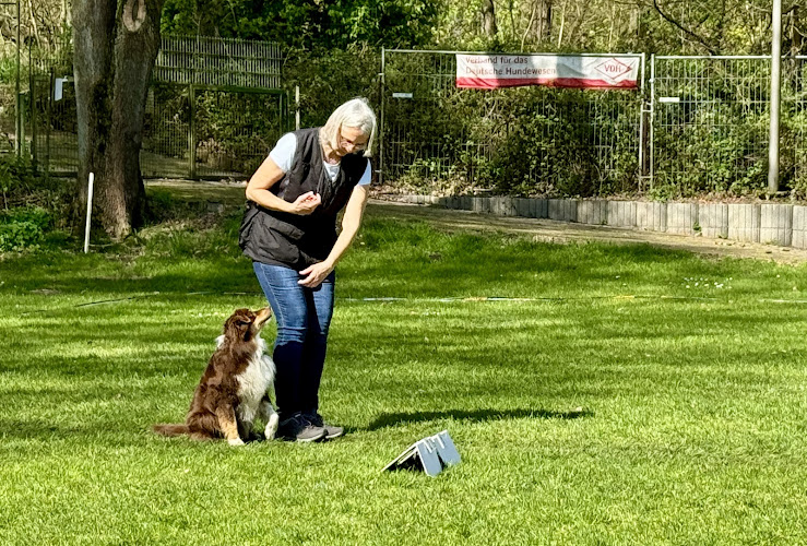 Hunde Osteopathie, Physio, Training, Ernährungs-Gesundheitsberatung, OnlineAkademie GanzheitlicheGesundheit, Anja Breiding
