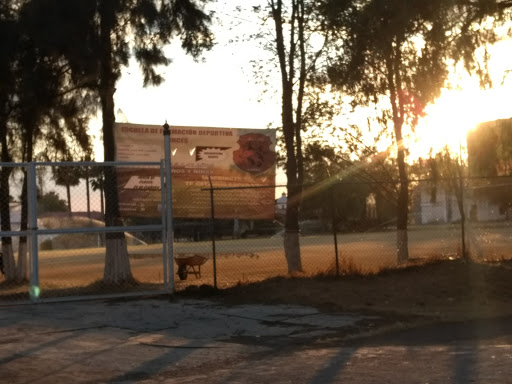 Escuela De Formación Deportiva Linces - Thumbnail