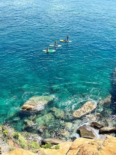 Green mango sup paddle tours - Thumbnail