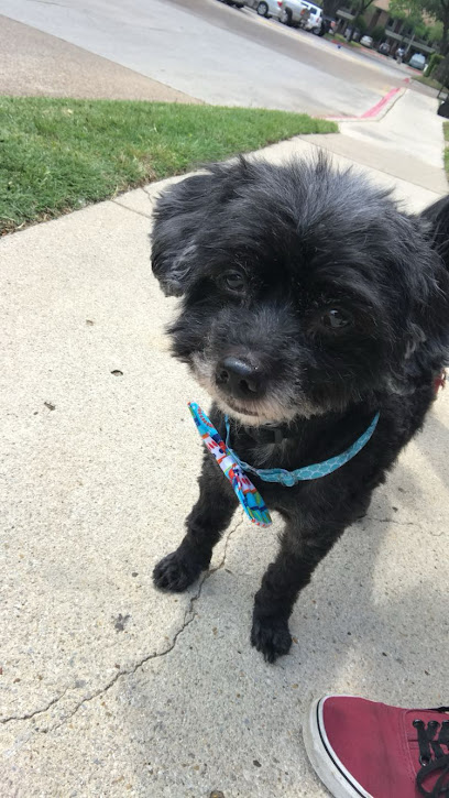 Veterinary Emergency Hospital of Arlington (Urgent Care)