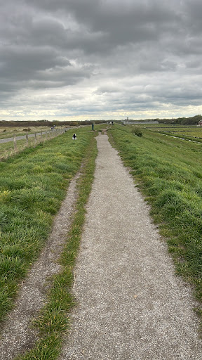 Hondendijk