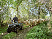 La ferme de l'Ivronnière à La Forêt-sur-Sèvre