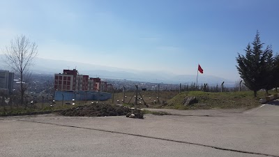 Basketball court